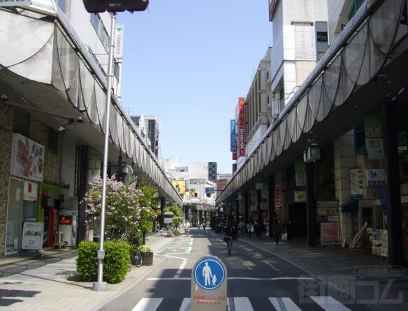 大通・菜園エリア